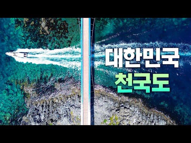 올해 가장 잘한 일, 울릉도를 다녀온 것 - 울릉도 3박 4일 풀코스 【울릉도 1편】