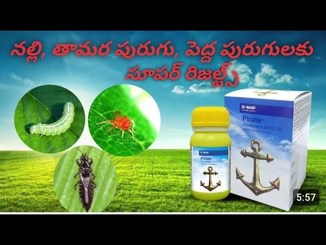 BASF Pirate insecticide full details in telugu #agristudent #agrochemicals #pesticides .