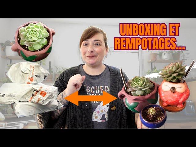 TEMU | Big Unboxing et Rempotages!!! | De magnifiques pots et des plantes heureuses | Le P J de Bob