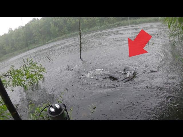 New Forgotten Pond Holds Massive PIKE!