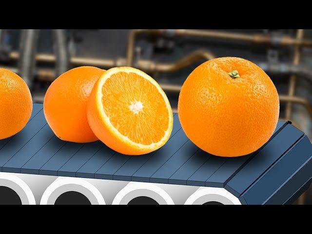 Citrus... Factory? (Gmod Prop Hunt)