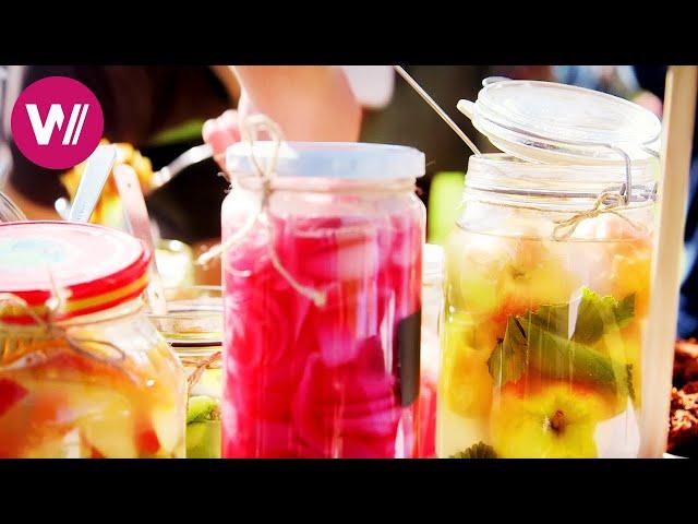 Central Franconia - Art of Fermentation: Preparing Sauerkraut & Kimchi | At our Neighbour's Table