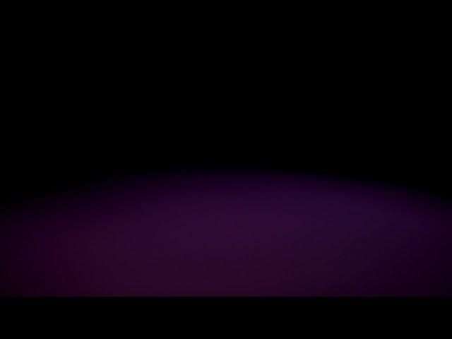 5D Leaks 20