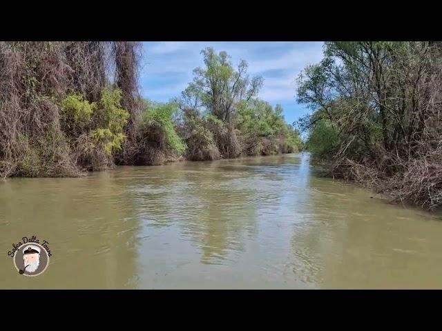 Excursii in Delta Dunării la mijlocul lunii aprilie 2023. Danube Delta tours from Tulcea in april 23