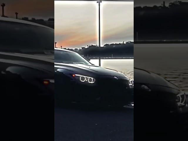 M3