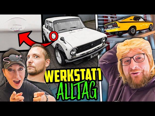 Ein BLICK hinter die KULISSEN! - Werkstattalltag Halle77 - Marco nimmt EUCH mit!