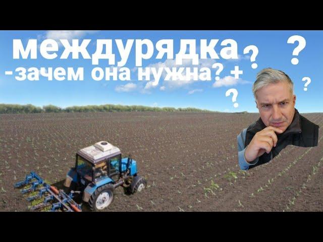 #Междурядка#- плюсы и минусы в сравнении с химической защитой.