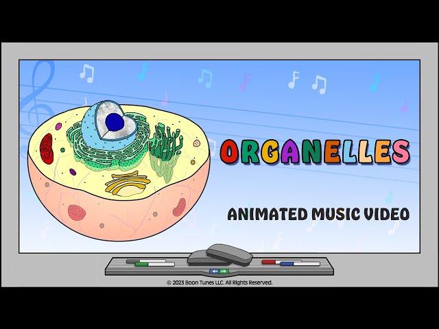 Intro To The Cell  | Organelles Animated Music Video |