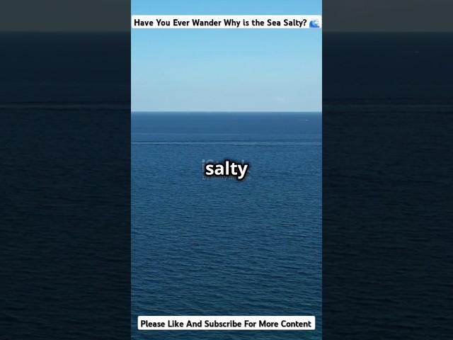 Why is the Sea Salty?   #shorts #viralvideo #trending #health #tips #ocean #youtubeshorts