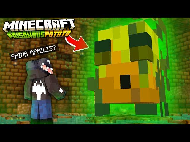 MINECRAFT, ale to POTATO UPDATE! *SNAPSHOT 24w14potato*