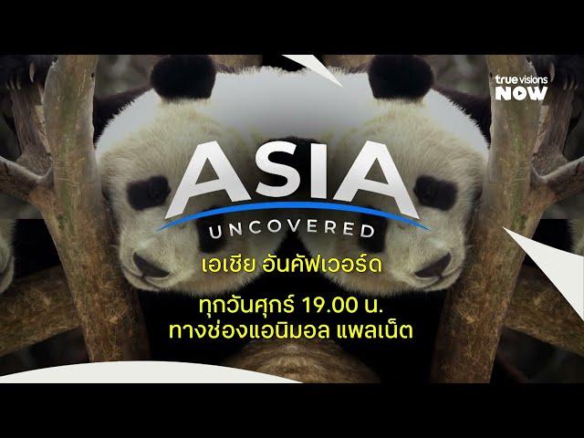 Asia Uncovered