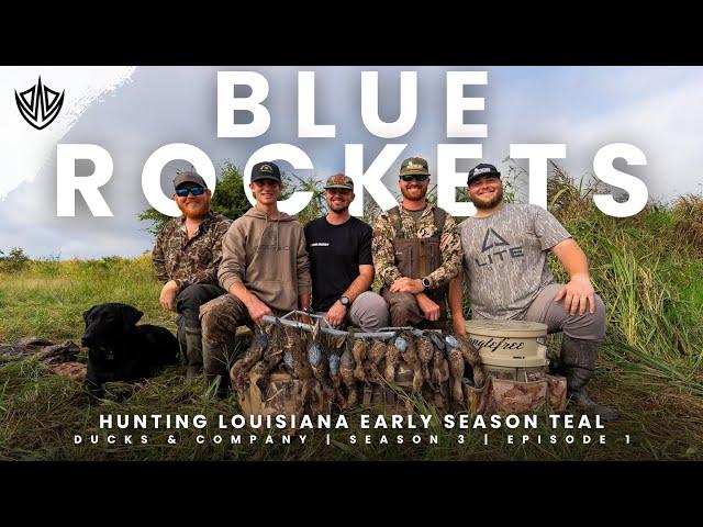 Teal Hunting The Louisiana Rice Fields // Early Season Blue Wing Teal