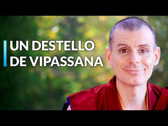 Meditación Paso a Paso | Lama Rinchen Gyaltsen [Sesión 14]