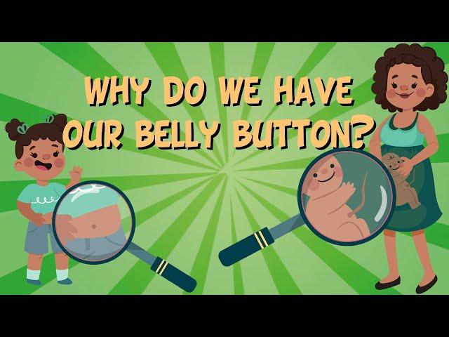 Why do we have our belly button? | Educational Videos For Kids