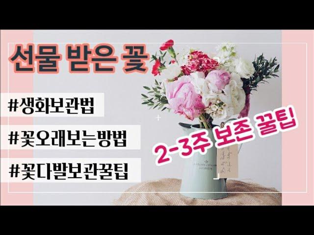 생화 싱싱하게 오래 보관하는 가장 기초적인 방법 / 초간단 / 아무것도 필요없어요! / #슬기로운꽃집생활 #꽃보관방법 #생화오래보관하는법 #생화보관법