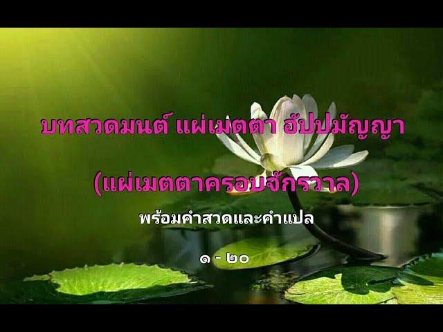 บทสวดแผ่เมตตาอัปปมัญญา (แผ่เมตตาครอบจักรวาล) พร้อมคำแปล