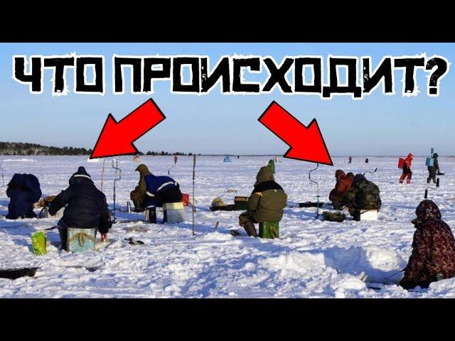 ТОЛПА ПРИШЛА ПОРТИТЬ РЫБАЛКУ?! Ловил ВТИХАРЯ и НАЧАЛОСЬ!  Удачная рыбалка 2024