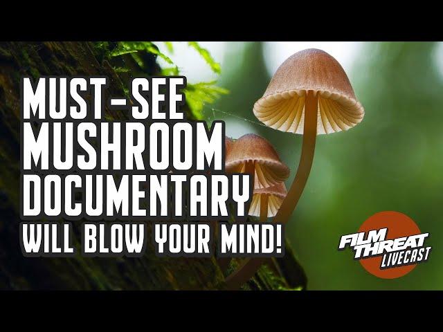 MUST-SEE MUSHROOM DOC FANTASTIC FUNGI | Film Threat Podcast Live