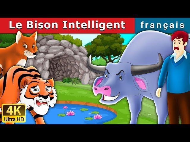 Le Bison Intelligent | Intelligent Buffalo in French | Contes De Fées Français |@FrenchFairyTales