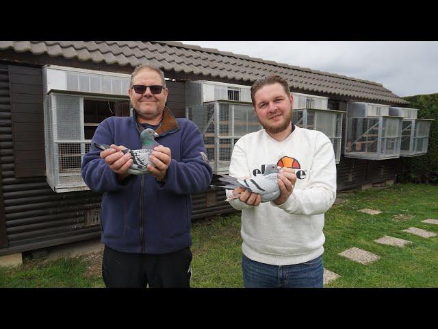 Pigeon-Master: Jérôme Hottin vainqueur du premier Châteauroux 2021