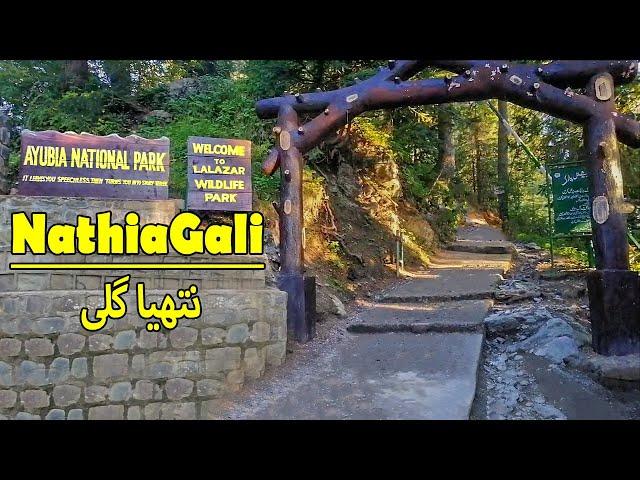 Nathiagali | Lalazar wildLife Park | Ayubia National Park | Ahsan Arain