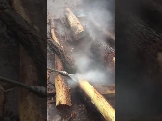 Removing Tree Bark QUICKLY and GENTLY with DYNAJET High Pressure Cleaner