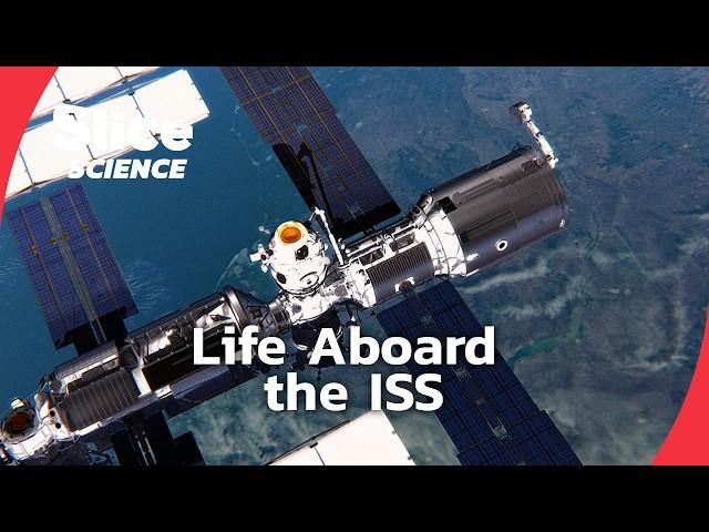 Inside the International Space Station | SLICE SCIENCE | FULL DOC