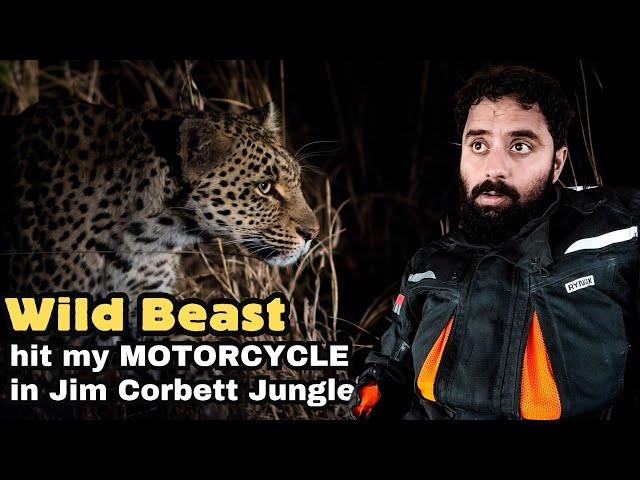 Crossing Jim Corbett at night - My Biggest Mistake| UK Budget Ride Challenge Ep 13