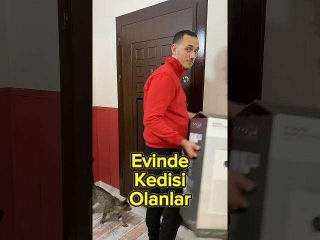 KEDİSİ OLANLAR ANLADI 