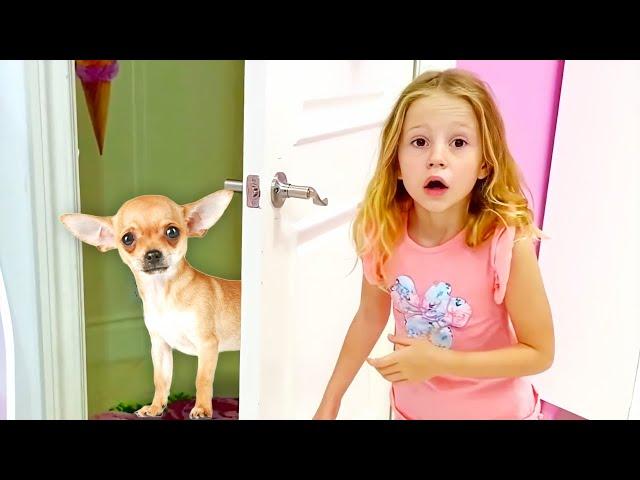 Nastya perdió a su perro mascota, historia de mascotas paraniños