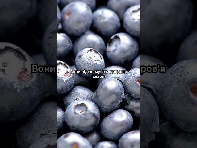 #чорниці #ягоди #здоровехарчування кориснаїжа #вітаміни #антиоксиданти #літняїжа #смачно