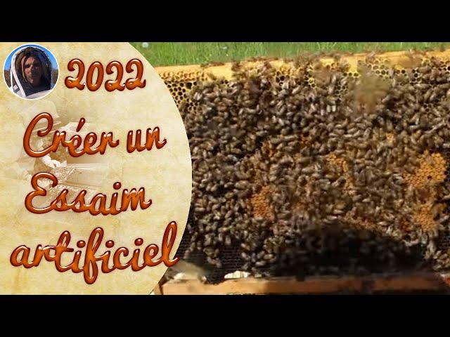  TUTORIAL How to create an artificial swarm on 2 frames