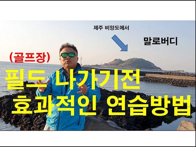 [골프레슨]필드(골프장)나가기전 효과적인 연습방법-말로버디