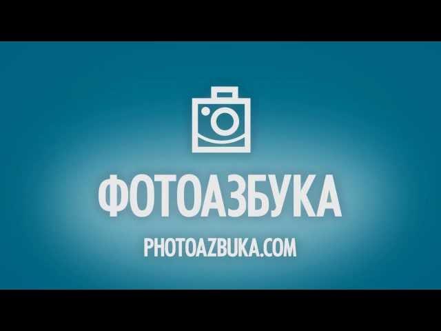 уроки фотографии для начинающих  - ПОДПИШИСЬ!