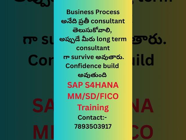 SAP S4 HANA MM / SD / FICO Training | Business Process అనేది ప్రతీ consultant తెలుసుకోవాలి  #s4hana