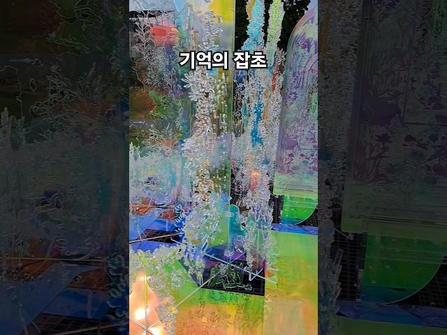 송현녹지광장-  기억의잡초(Memory weed)  #shorts #송현녹지광장 #도심갈만한곳 #seoul #서울여행 #korea