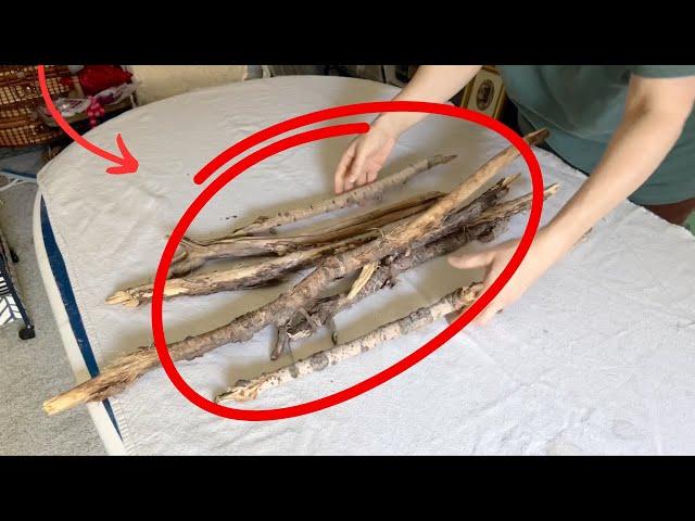 The BRILLIANT new Christmas tree ideas everyone will be copying in 2024!