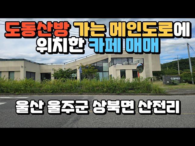 도동산방 가는 길목에 위치한 카페 매매 현 카페 운영중 울산 울주군 상북면 산전리