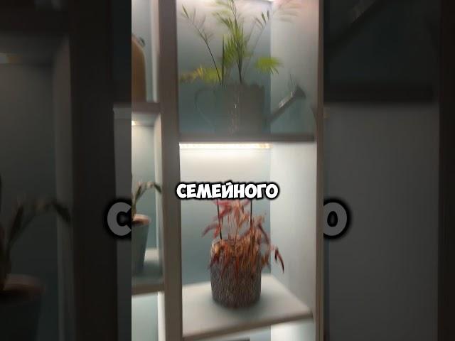 Где в Любляне едят местные? Секреты Словении