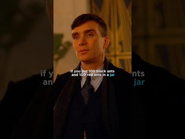 How was that guyz || Thomas Shelby Quotes attitude Sigma Attitude || #peakyblinders #motivational