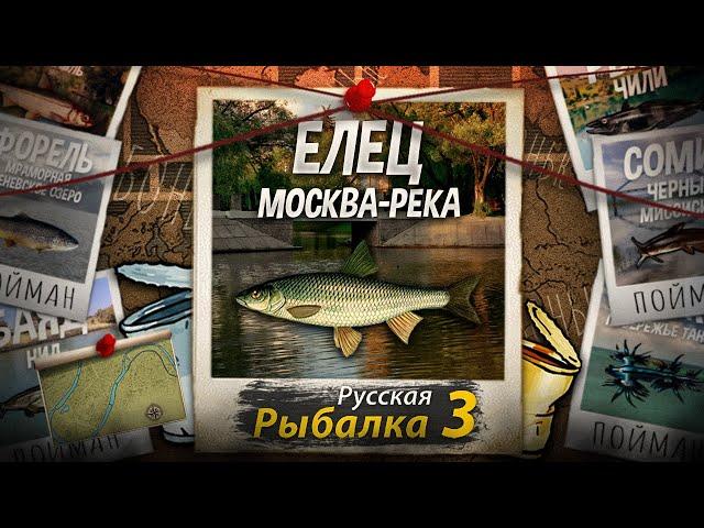 "Мутант" Елец + Банки. Москва-Река. Русская рыбалка 3.