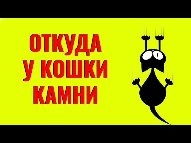 Как снизить шанс появления у кошки МКБ (мочекаменной, струвиты). Читайте описание
