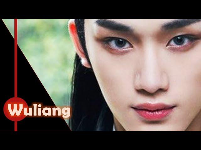 Wuliang (无量) - Music Video