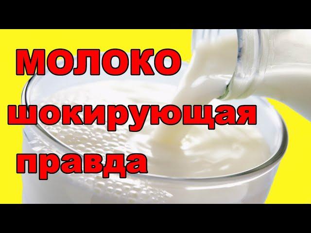 Как проверить молоко прямо в магазине.