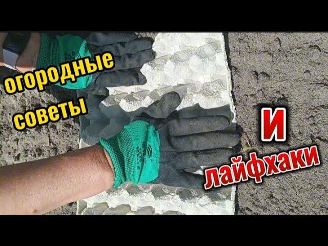 сборник советов и лайфхаков которые облегчат работу на огороде. #огород #лайфхак #советы