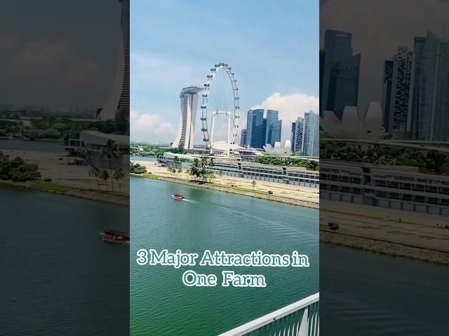 Singapore 3 Major Attractions in 10 sec || Ankur Sharma Vlogs #shorts #singaporeshorts