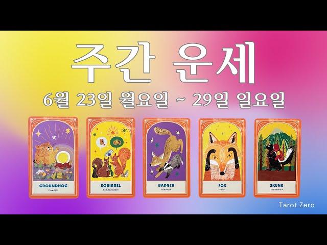 [타로/주간] 6월 넷째 주/직장/금전/시험/애정/관계/계약/컨디션