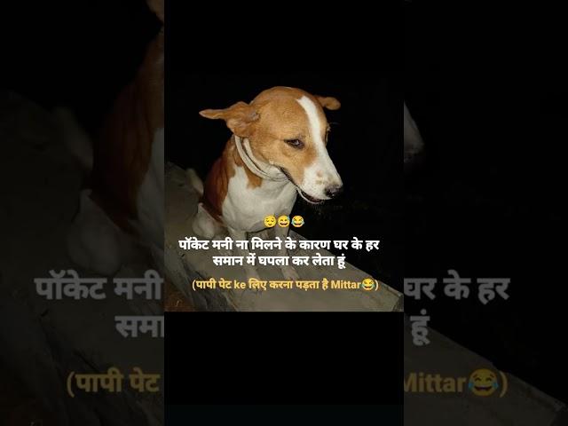 video 2 @Atulvalogs2025 #haryana #khota#trnding #video #viralvideo #vlog #masti #jabardasth #shorts