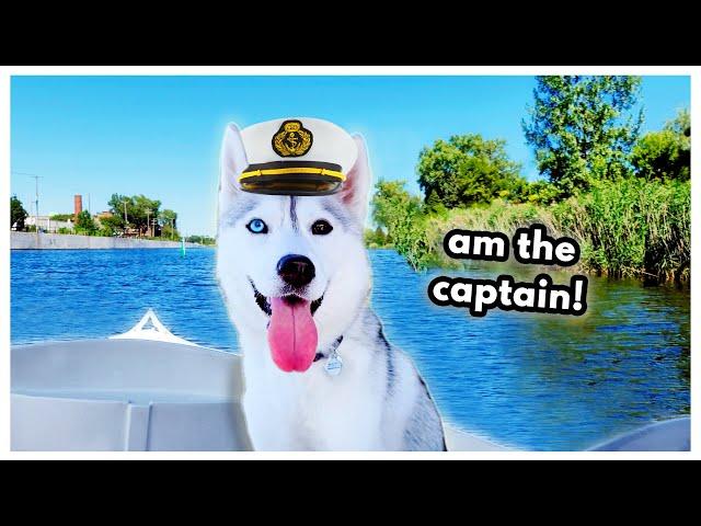 Husky Goes Boating for the First Time! (and YELLS at ducks!)