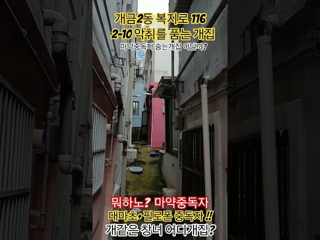 개금2동 복지로 116 악취를 만드는곳